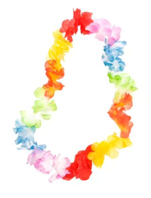 Kostümzubehör Hawaiikette einfach bunt 30 Blüten Farbe: bunt