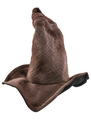 Kostümzubehör Hexenhut braun one size