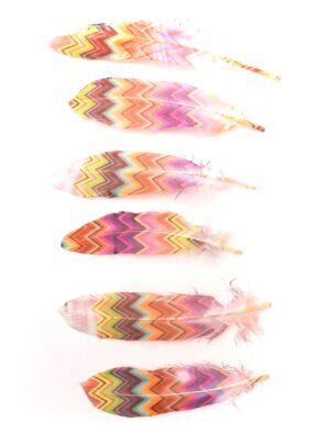 Kostümzubehör Indianerfeder bunt 3 Stk. Farbe: mehrfarbig