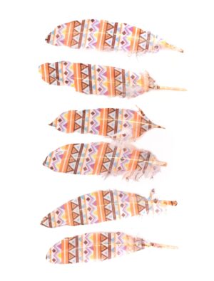 Kostümzubehör Indianerfeder pastell/bunt 3 Stk. Farbe: mehrfarbig
