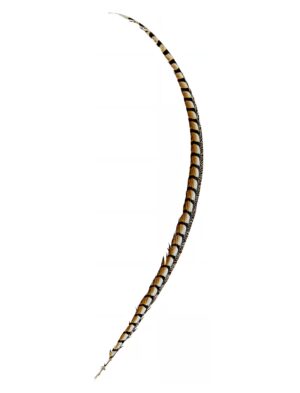 Kostümzubehör Königsfasanenfeder 105-110cm Farbe: natur
