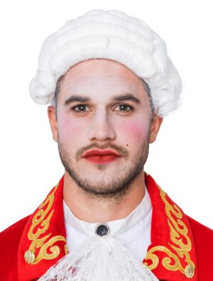 Kostümzubehör Kostümzubehör Perücke Renaissance weiß