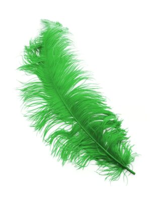 Kostümzubehör Straussenplatte 50-60cm grün