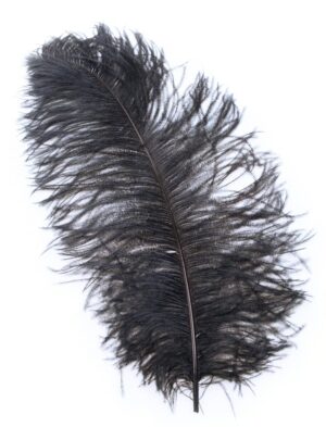 Kostümzubehör Straussenplatte 50-60cm schwarz