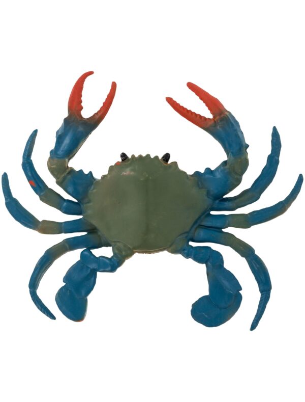 Krebs 11