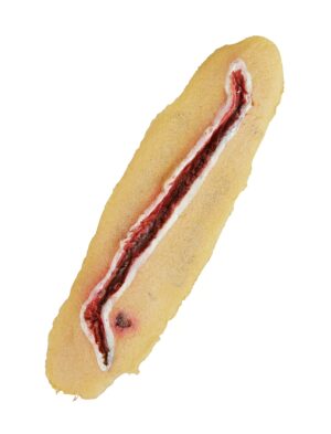 Latexwunde Farbe: bunt