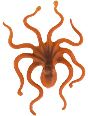 Oktopus 12