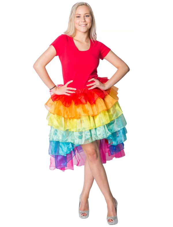 Petticoat Regenbogen Farbe: rainbow