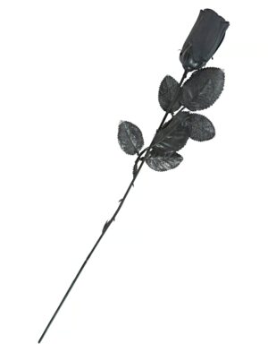 Rose schwarz