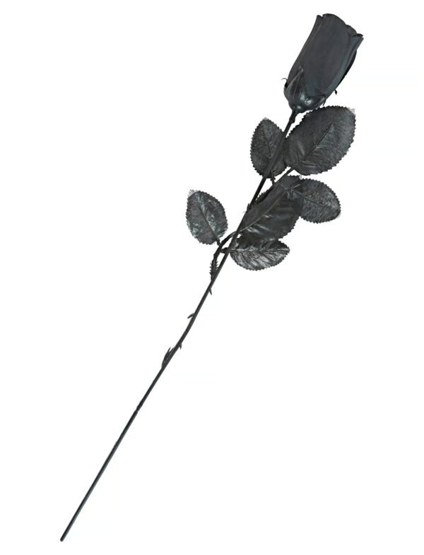 Rose schwarz