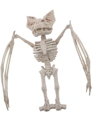 Skelett Fledermaus Farbe: transparent
