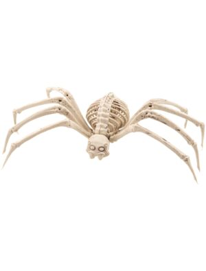 Skelett Spinne Farbe: transparent