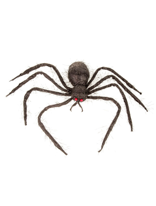 Spinne 50cm Farbe: schwarz