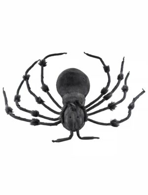 Spinne braun