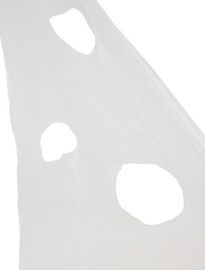 Spinnennetz 1