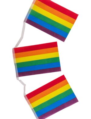 Wimpelkette 6m Flagge rainbow