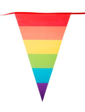 Wimpelkette Regenbogen 8m Farbe: rainbow