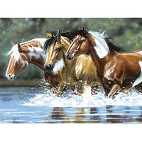 Malen nach Zahlen mit Acrylfarben "Pferde"