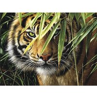 Malen nach Zahlen mit Acrylfarben "Tiger"