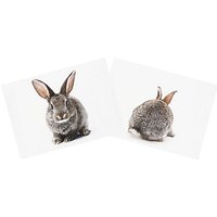 Canvas-Coupon "Hase"