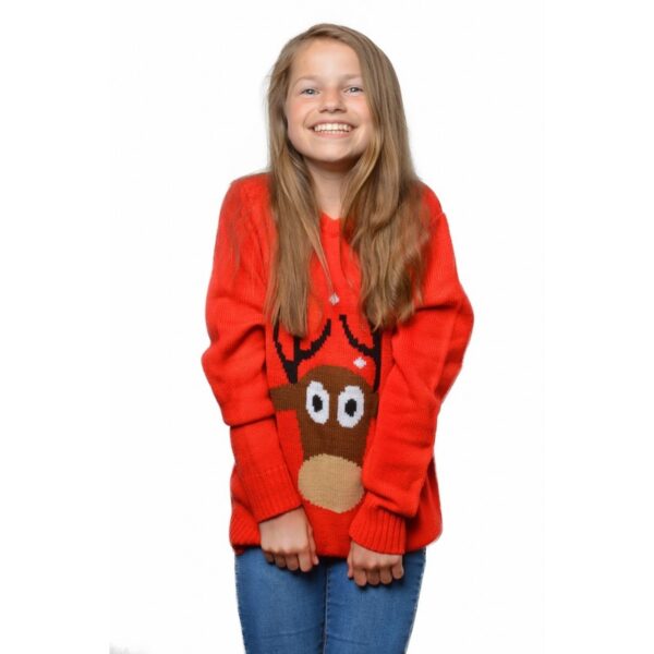 Weihnachtspulli Big Reindeer Kids Unisex-Kinder 11-12